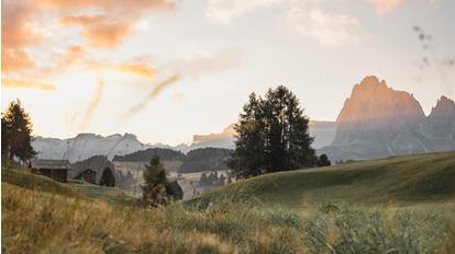Die Seiser Alm