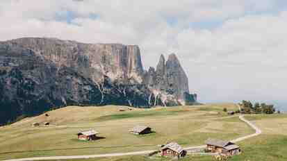 Summer on the Seiser Alm with grazing cows, wooden huts and the Schlern in the background.