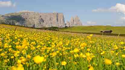 Alpe di Siusi