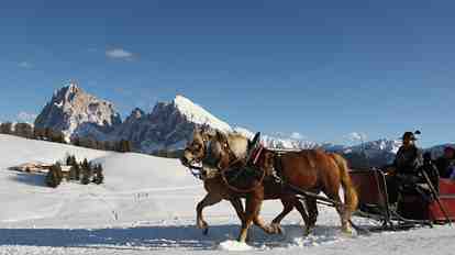 A ride in a horse-drawn sleigh in winter