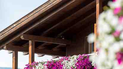 Primo piano di fiori bianchi e lilla su un balcone in legno.