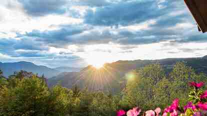 Ausblick auf bewaldete Berge und Täler bei Sonnenuntergang mit Blumen im Vordergrund.